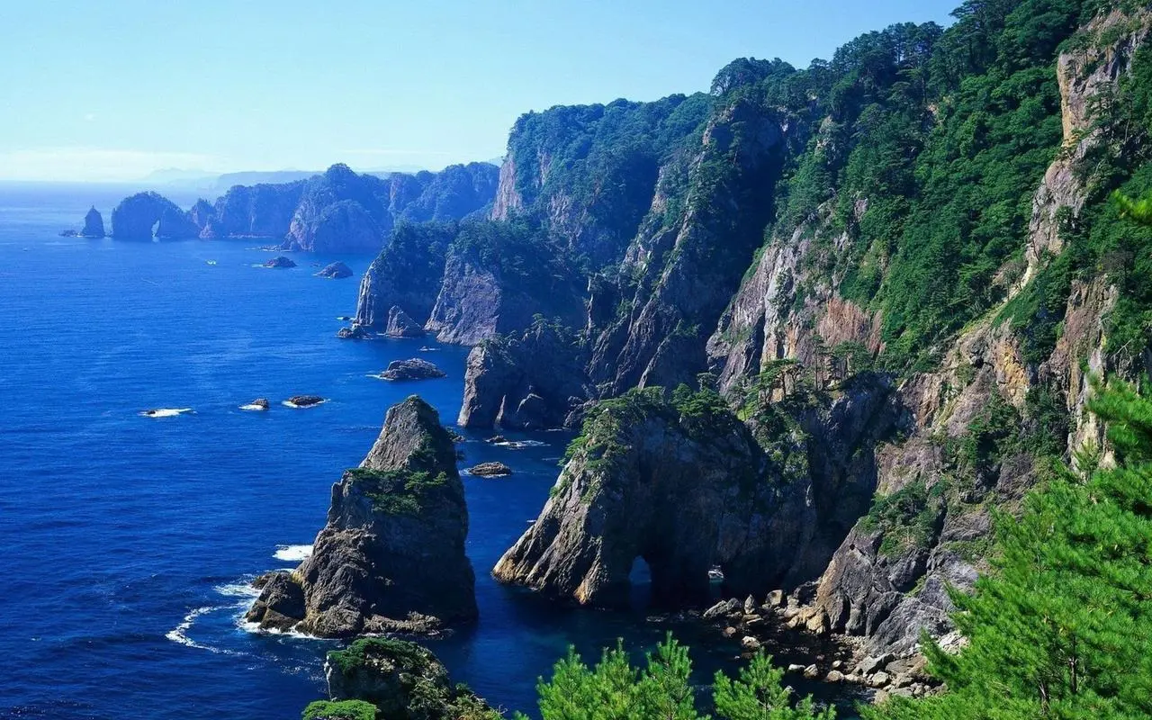 独特高性能高端